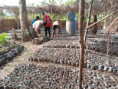 /album/galerie-de-photos-ahvd-togo/img-20200530-wa0066-jpg/